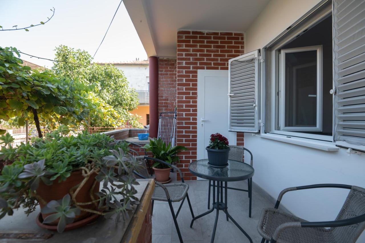 Modern Apartment Edda - Quiet Area - Close To Old Town And Beaches Zadar Eksteriør bilde